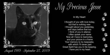 12 x 6 Lazer Gifts Personalized Black Granite Pet Memorial Marker Style Jesse