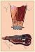 Art Poster, Bell-Harp and Hurdy Gurdy - 18.75 x 27.5