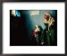 Muslim Girls Relax Watching Television, Indonesia Framed Art Poster Print by Adams Gregory, 22x18