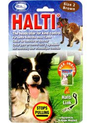 Company of Animals » Halti Dog Headcollar » Brown » Size 2