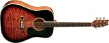 Washburn D10 Series D10QSBK Acoustic Guitar