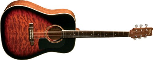 Washburn D10 Series D10QSBK Acoustic Guitar