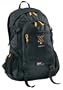 Coleman Exponent Cortez Daypack