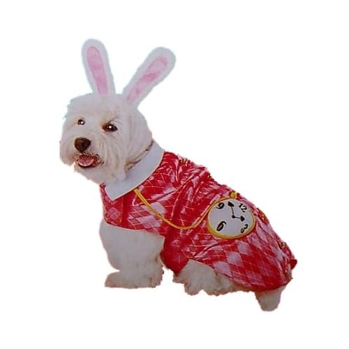 404 Document Not Found