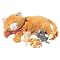 Great Pets for those Zoologically Challenged