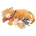 Great Pets for those Zoologically Challenged