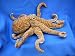 Stuffed Octopus 15" By Fiesta Toy