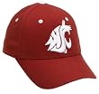 Washington State Adult Team Color AdjustableHat