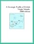 A Strategic Profile of British Virgin Islands, 2000 edition (Strategic Planning Series)