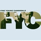 The Platinum Collection : Fine Young Cannibals