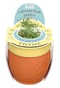 Indoor Garden Gift: Thyme Herb Kit