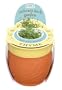 Indoor Garden Gift: Thyme Herb Kit