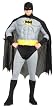 Plus Size Adult Batman with Muscle Chest