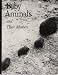 Baby Animals and Their Mothers (Terra Magica Book)