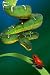 Wallmonkeys Peel and Stick Wall Decals - Snake Approaching Frog on Plant - Removable Graphic