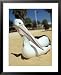 Australian Pelican (Pelecanus Conspicillatus), Shark Bay, Western Australia, Australia Animals Framed Art Poster Print by Steve & Ann Toon, 25x31