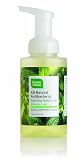 Cleanwell All Natural Anti Bacterial Foaming Hand Soap, Spearmint Lime, 9.5-Ounce Bottle (Pack of 4)
