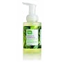 Cleanwell All Natural Anti Bacterial Foaming Hand Soap, Spearmint Lime, 9.5-Ounce Bottle (Pack of 4)