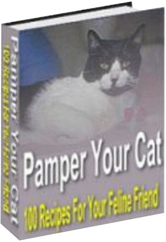 Pamper Your cat