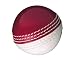 GUNN & MOORE Graeme Swann Fertigkeiten- Cricketball