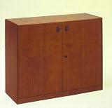 Office Furniture - 2-Door Storage Unit - Contemporary Office Furniture - 7106-075