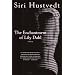 The Enchantment of Lily Dahl: A Novel