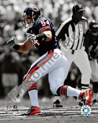 Brian Urlacher Bears Spotlight 8x10 Photo