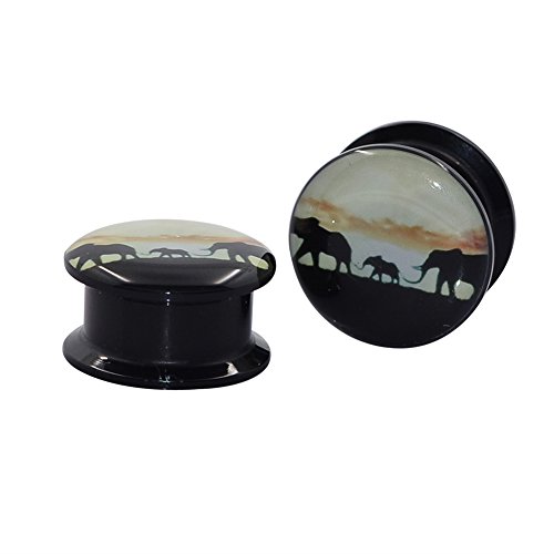 Longbeauty Pair Acrylic Ear Gauges Plugs Flesh Tunnels Expanders Screw Elephant Sunset Punk Jewelry