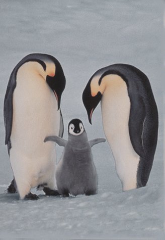 Antarctica