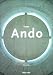 Tadao Ando (Big Art) (Big Series Art)