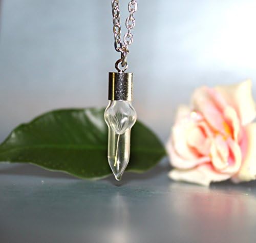 One Dandelion Seed, Special Wish in a glass vial, Tiny pendant, Botanical Terrarium Necklace- Glass Bottle Pendant -Botanical jewelry