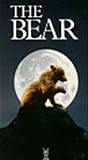 The Bear