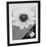 Umbra Document Series 11-Inch-by-14-Inch Frame, Black