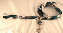 Philadelphia Eagles 6' Long NFL Dog Leash