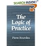 The Logic of Practice