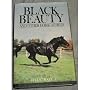 Black Beauty and Thirteen Other Horse Stories