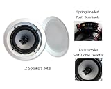 Acoustic Audio Speaker - IC-6