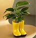Outdoor Living : Cute Lil Pothos N' Boots!