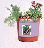 Plant Minder Watering Set