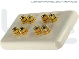 Atlona High-quality Wall Plate for 4 Speakers