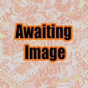 BADGER Sotar Retaining Spring Screw