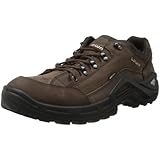 Lowa Men's Renegade II GTX LO Hiking Shoe