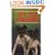 Toy Fox Terriers