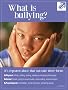 School Bullying XL Vinyl Banner - Abuse in Three Forms: Physical, Verbal, Psychological. Extra-Large 48