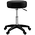 PARTYSAVING Professional Adjustable Hydraulic Swivel Salon Stool Chair for Massage Spa Tattoo Beauty Seat APL1159, Black