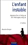 L'enfant instable : Approche clinique et th�rapeutique