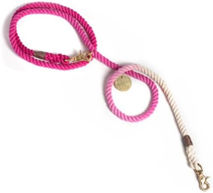 Found My Animal Magenta Ombre Adjustable Leash Brass Medium 7'