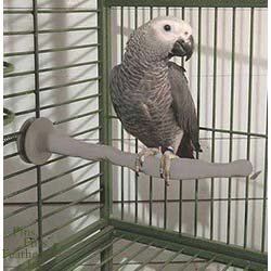 K&H Thermo-Perch? Heated Bird Perch – Medium, 1.25 inch x 13 inch