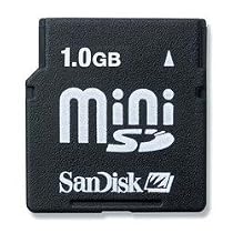 1GB MiniSD Card