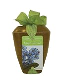 Forget-me-not Gardening Kit